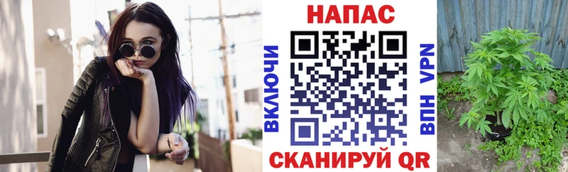 Конопля AK-47 Верхняя Салда